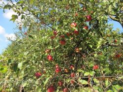 jesien_1.jpg