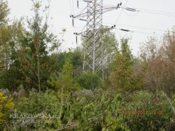 park_7.jpg