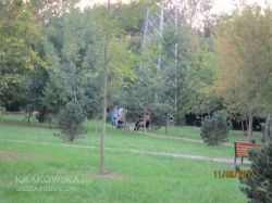 park_4.jpg